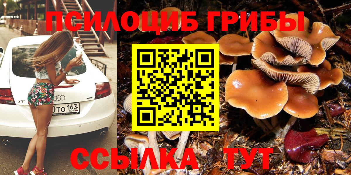 Псилоцибиновые грибы мицелий Краснокаменск
